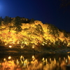 輝きの杜(ライトアップ時)