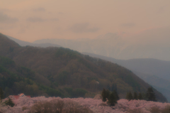 楼閣染まりし朝に