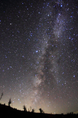 森林限界発　宇宙（そら）行き　