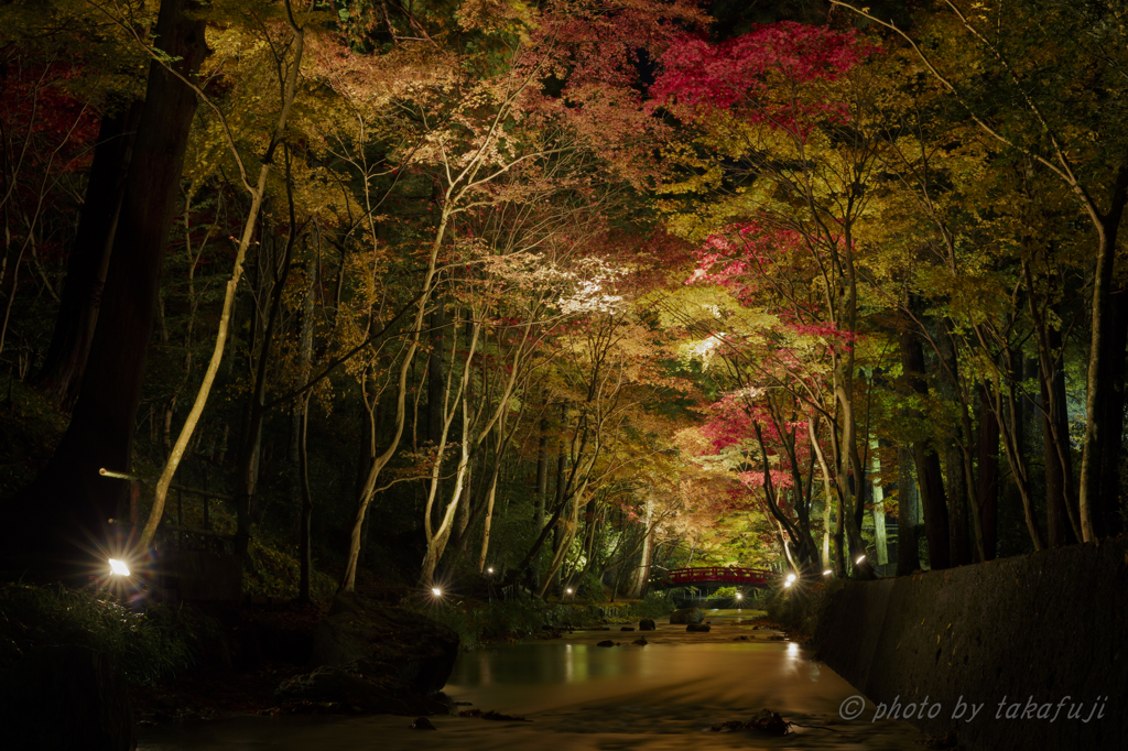 錦隧道