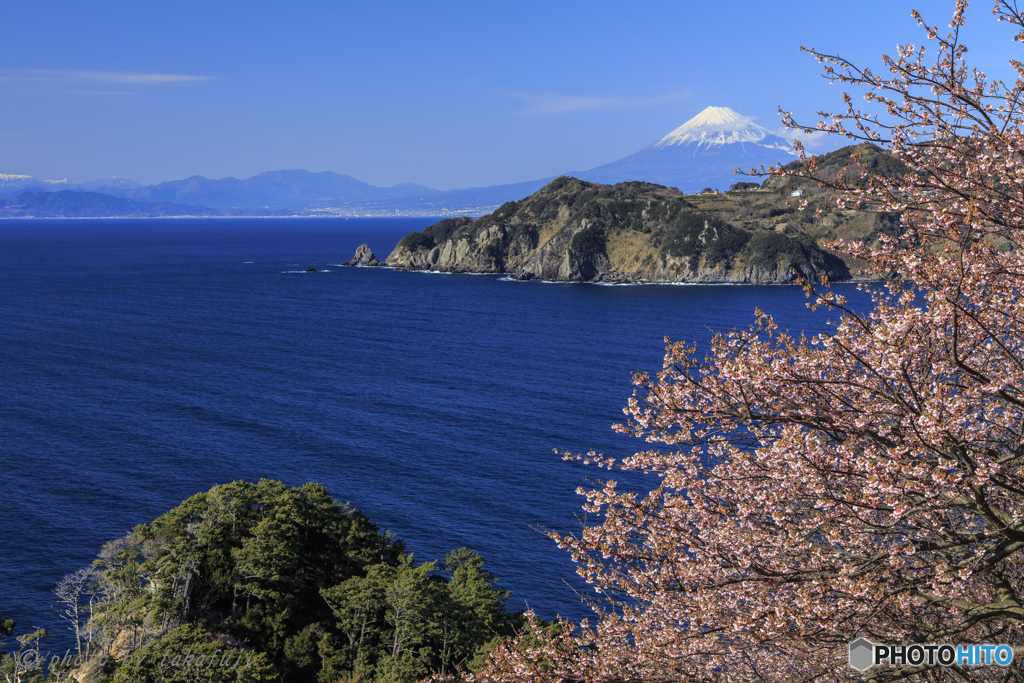 富嶽春慶