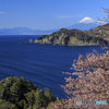 富嶽春慶