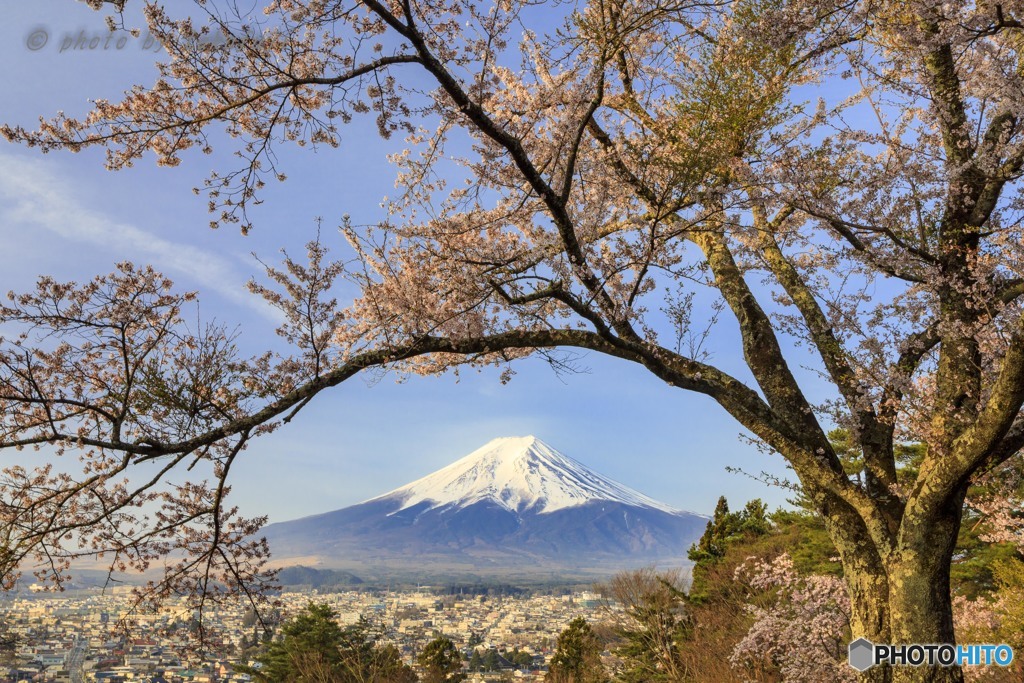 散り際の美嶽