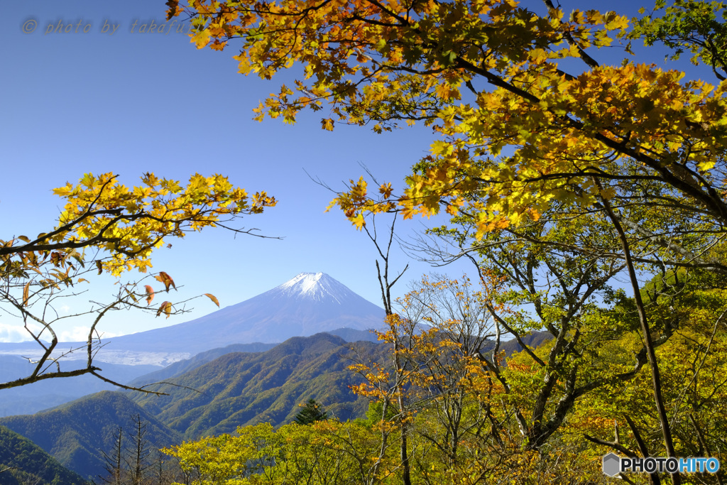 秋晴れに輝く