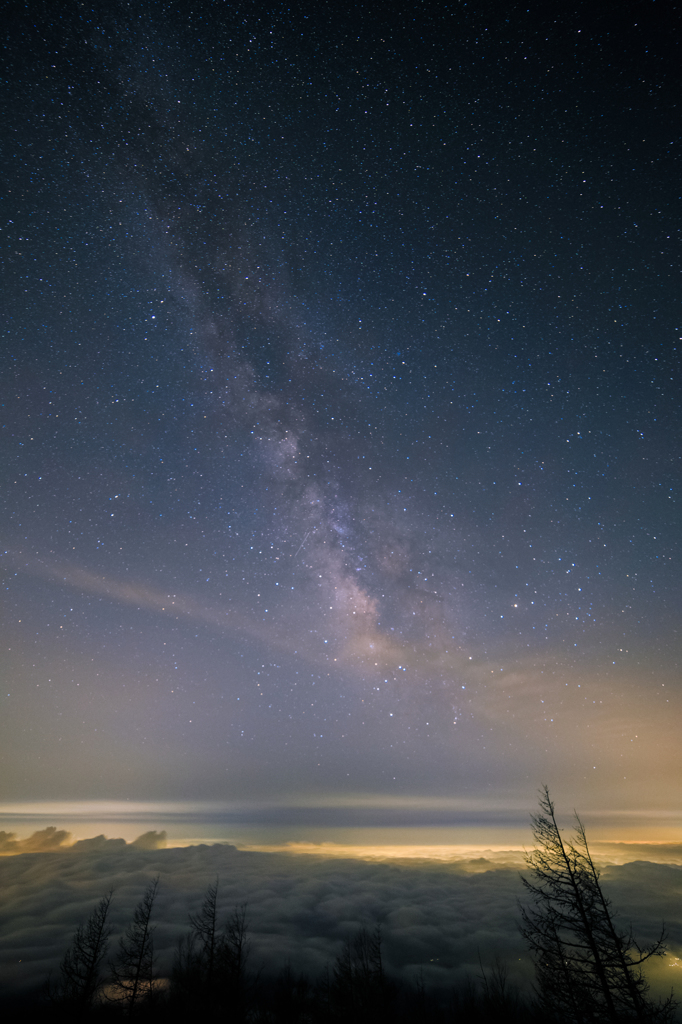 a sky full of stars