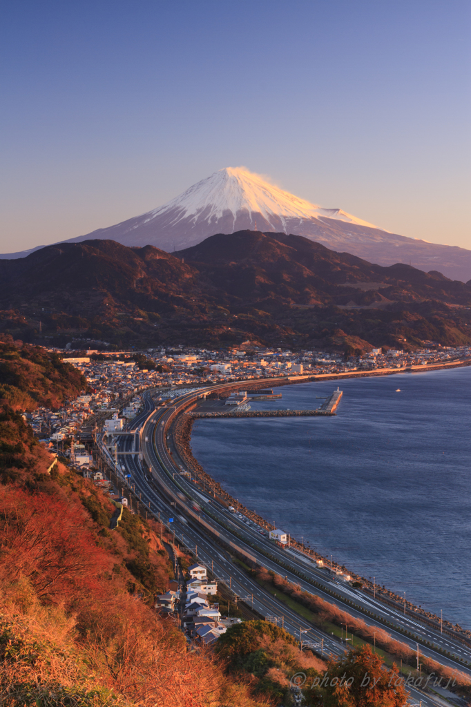陽光浴びて