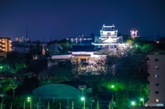 出世桜