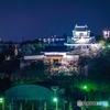 出世桜