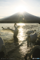 夕餉の舞