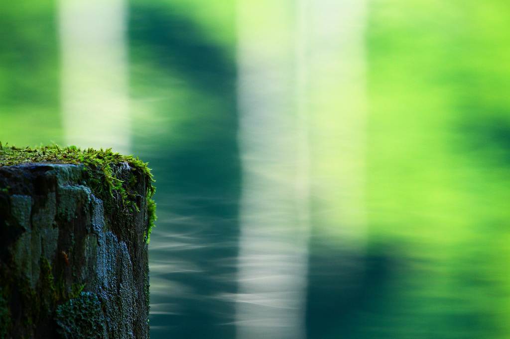 Moss Green