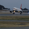 Landing of the dusk