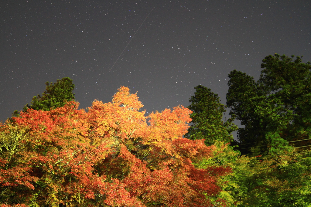 星降る香嵐渓の夜に・・・