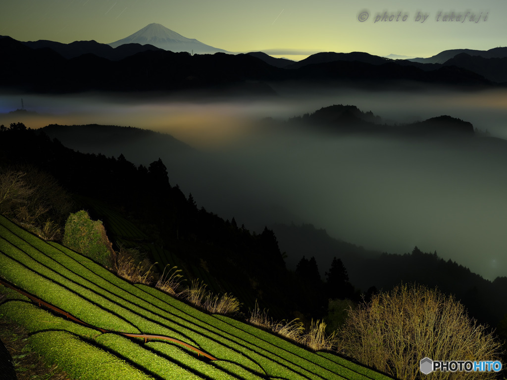 Misty Green