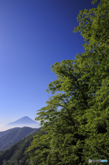 群青に浮かぶ