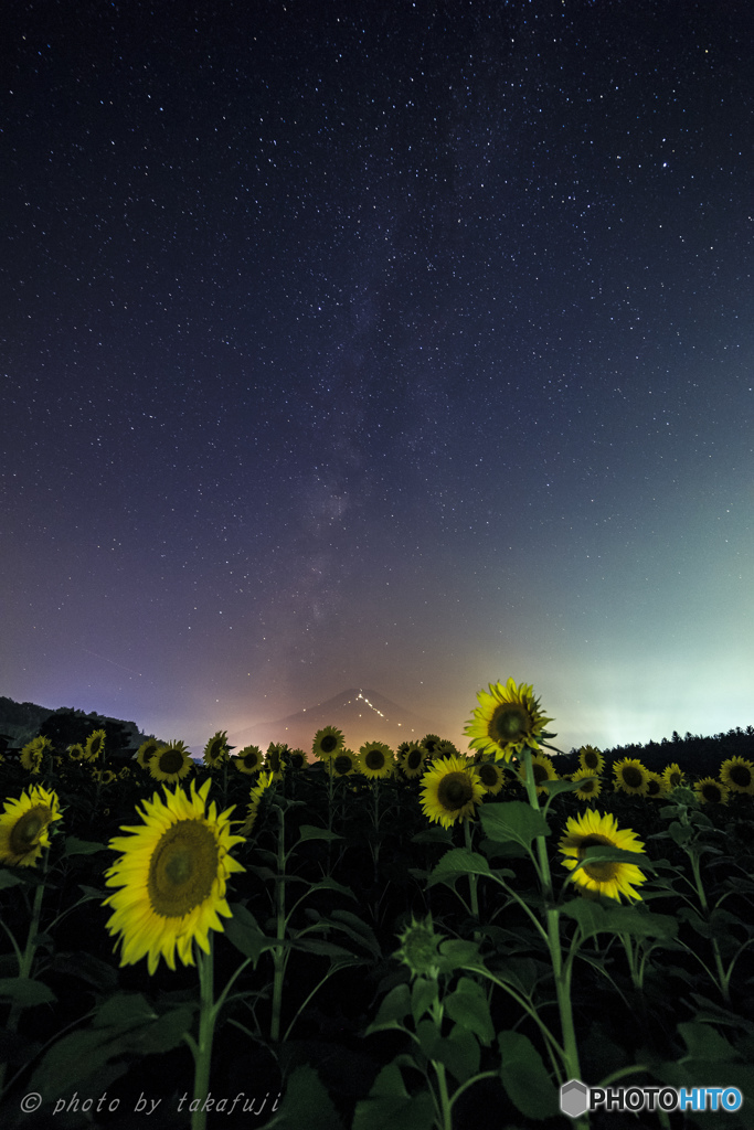 盛夏の夜に