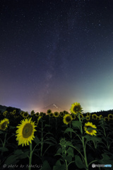 盛夏の夜に