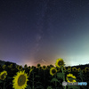 盛夏の夜に