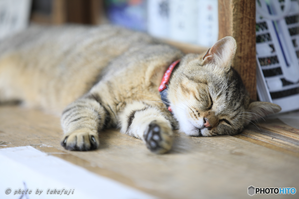 あなたの手も借りたい