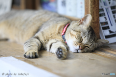 あなたの手も借りたい