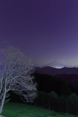 山樹の夜話