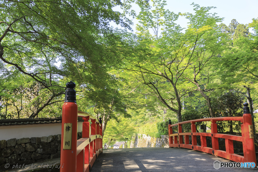 緑樹の杜へ