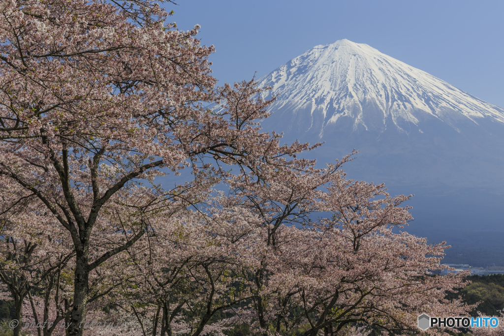 春慶の彩