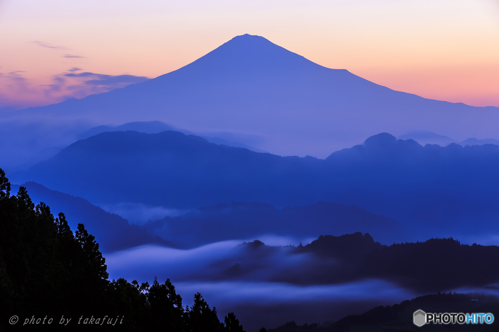 Breath of Violet
