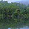 Misty Green