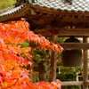 山寺の晩秋