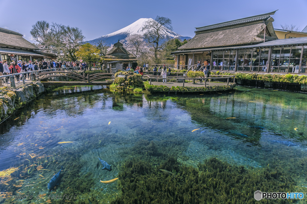 富士山世界遺産登録記念日Ⅳ_(._.)_