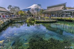富士山世界遺産登録記念日Ⅳ_(._.)_