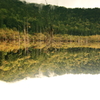 Be Reflected