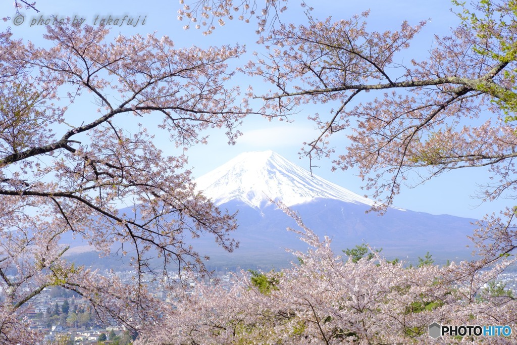 富嶽春慶