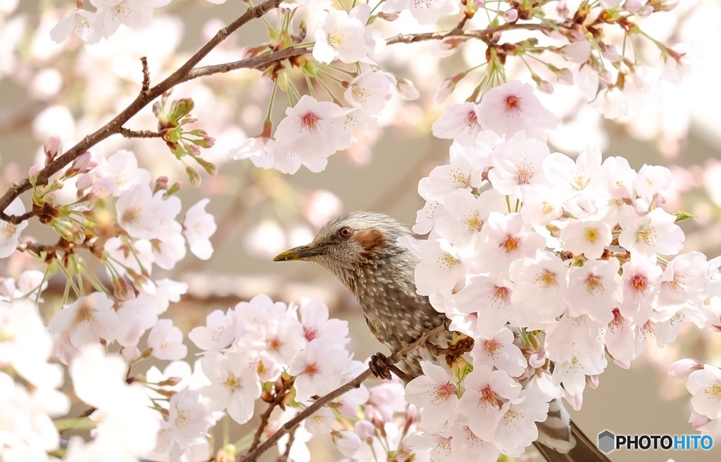 朝の日課
