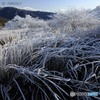 厳冬に閉ざされる前に