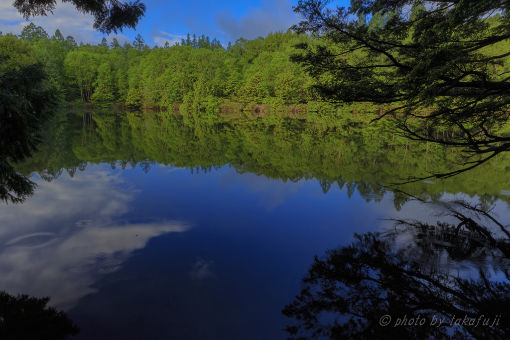 Blue Mirror