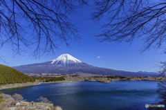 青空に恋焦がれ