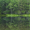 Mirror Image　Ⅱ
