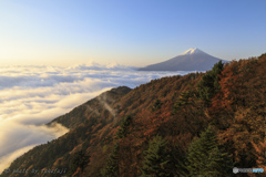 雲上の錦秋