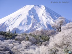 氷点の箱庭