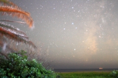 Seaside Stardust　～夏の夜の夢～