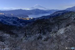 雪月の妙