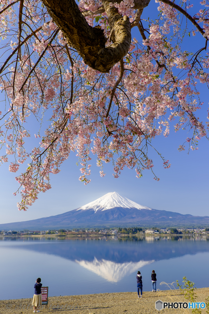 春旅のメモリー