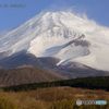 富士山の日