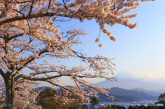 春慶