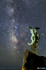 Let me wish shooting star☆彡