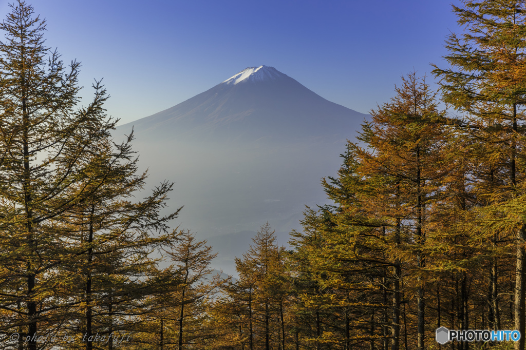 木立の先へ