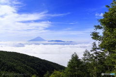 青空恋し