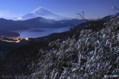 月夜の細雪