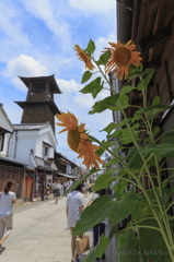 夏を告げて